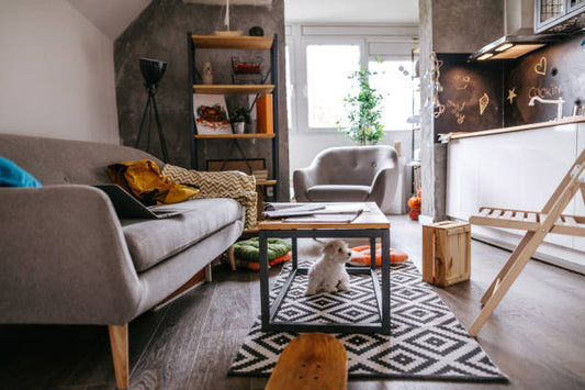 A Practical Cleaning Routine for Pet Owners in Small Spaces
