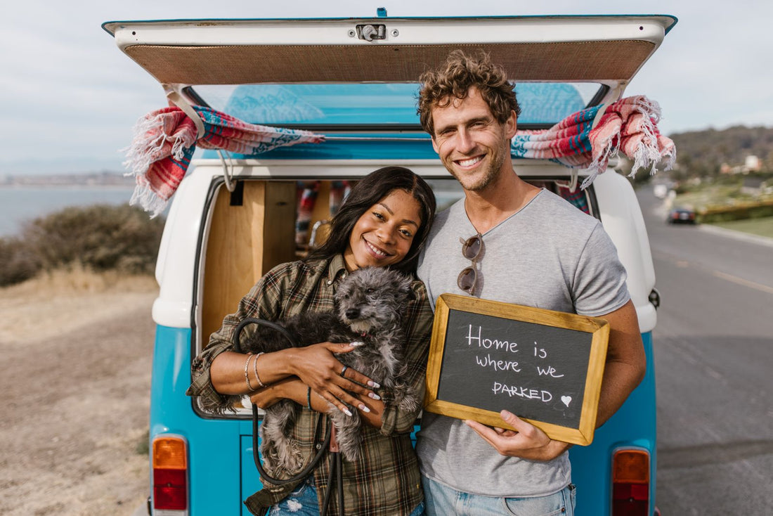 71 of Fall RV Travelers Plan to Bring Pets Build a Pet-Ready RV Before You Go