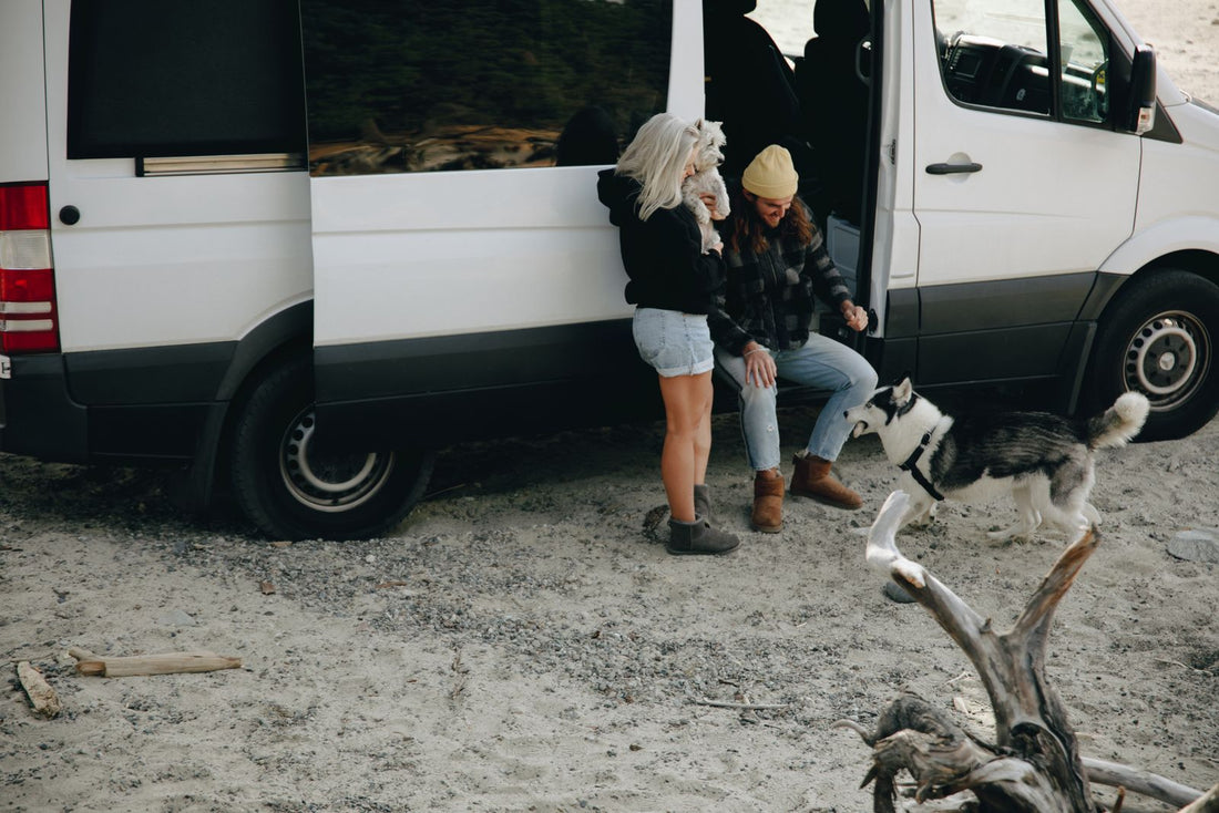 23 Million Americans Plan Fall RV Trips Why Autumn Is Becoming Prime RV Season