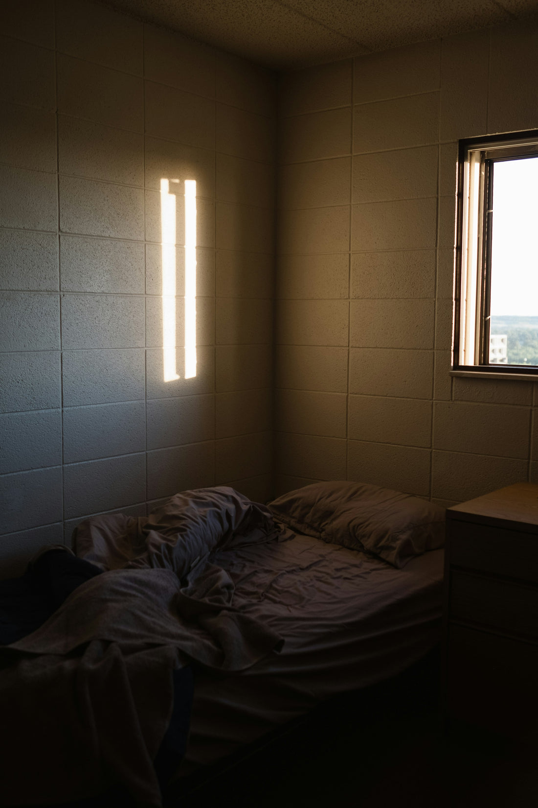 Compact college dorm room with bed and natural light