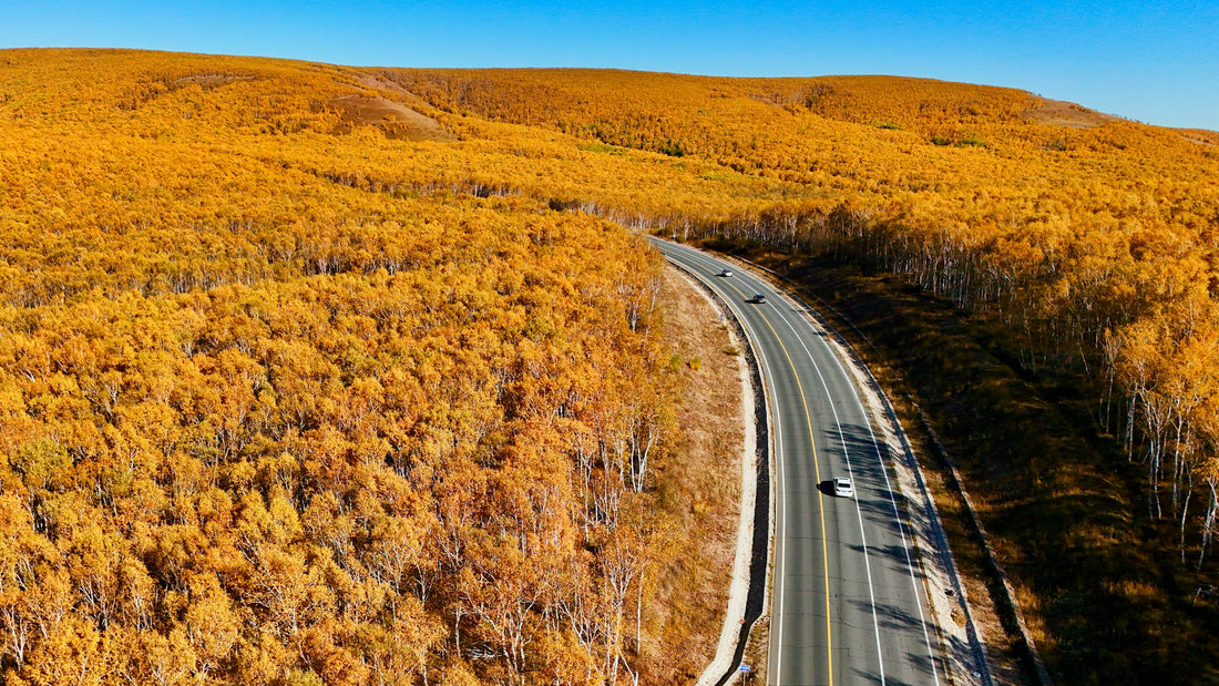 Car traveling on a scenic road for a Labor Day road trip