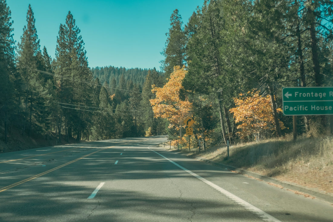 Road winding through colorful autumn forest