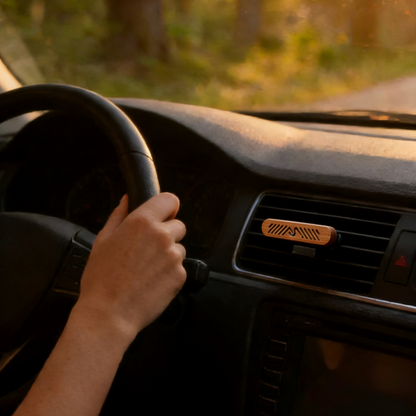 Natural Wood Car Air Freshener
