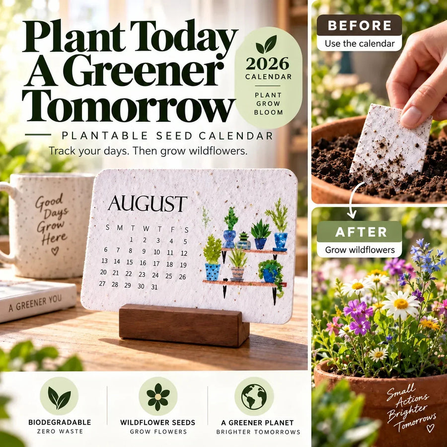 TopSpire® Early Holiday Sale 50% OFF Eco-Friendly Plantable “Timeless” Seed Calendar 2027